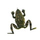 thumbnail image 3 of Señuelo De Rana Para Pesca, Anzuelos Resistentes Y Resistentes Para La Pesca De Lubina, Trucha, Lucio, Verde Oscuro, 3 of 5