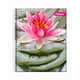 thumbnail image 3 of Pack 10 Cuadernos Clásico Universitario 100 hojas, 3 of 3