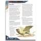 thumbnail image 5 of Reserva el juego de rol Tales of the Valiant: Monster Vault de Kobold Press, 5 of 7