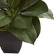 thumbnail image 3 of Planta artificial de ficus de roble casi natural para uso en interiores, 3 of 3