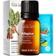 thumbnail image 1 of Aceite esencial de pimienta de Jamaica Gya Labs, 10 ml, para cabello, piel y difusor, 1 of 6