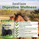thumbnail image 2 of Suplemento Digestivo para Caballos Silver Lining Herbs 454 g, 2 of 9