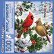 thumbnail image 1 of Rompecabezas Jigsaw Bits and Pieces Cardinal Couple 500 piezas 46 x 61 cm, 1 of 9