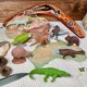 thumbnail image 5 of Colección TOOB de Toy Figures Safari Ltd., continente australiano, 5 of 6