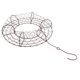 thumbnail image 4 of 26cm Marco De Guirnalda De Alambre De Hierro Suculento Macetero Planta 26cm Forma Redonda, 4 of 4