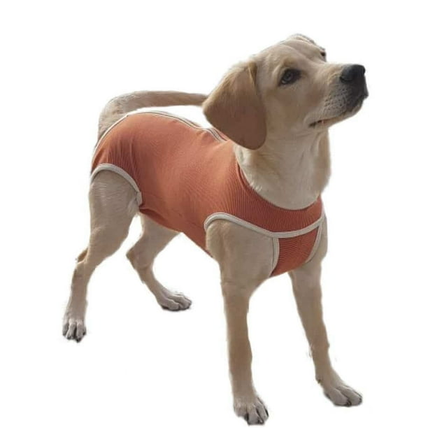 Body Castracion Unisex Con Cobre - Perro / Gato - Talla 7 (13 a 17kg)