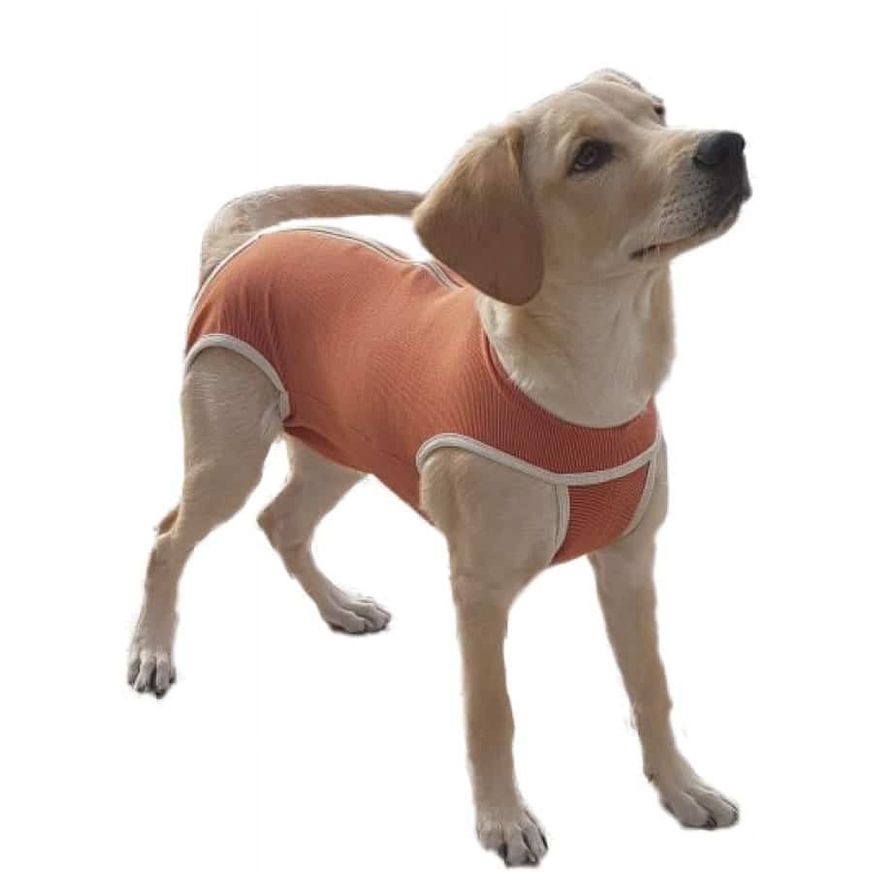 Body Castracion Unisex Con Cobre - Perro / Gato - Talla 2 (3.5 A 4.5kg)