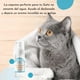 thumbnail image 2 of Shampoo Sin Enjuague Gatos Higiene Sin Agua, 2 of 3