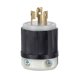 thumbnail image 1 of Enchufe eléctrico Leviton, sin conexión a tierra, 20 A, 125/250 V, 1 of 1