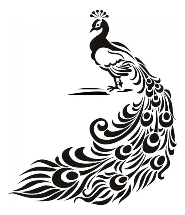 Rienda Libre Graphics - Decomural Floral Peacock Bird Ws-18149