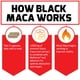 thumbnail image 3 of Suplemento Force Factor de raíz de maca negra 1000 mg 60 cápsulas, 3 of 3