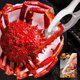 thumbnail image 3 of Set de utensilios para mariscos GPYG de 27 piezas, 3 of 3