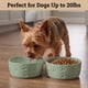 thumbnail image 3 of Cuenco para perro HB Design Co. 13 cm, set antideslizante de 2 tazas, 3 of 9