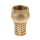 thumbnail image 1 of Válvula De Pie De Latón Resistente Válvula Inferior De Bomba De Agua Roscada Hembra DN40, 1 of 5