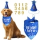 thumbnail image 1 of Blue Dog Birthday Party Supplies with Hat Bandana Numbers, 1 of 3