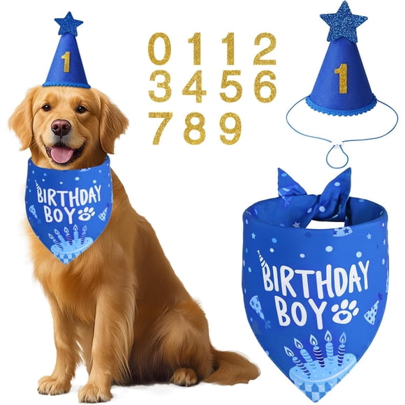 Blue Dog Birthday Party Supplies with Hat Bandana Numbers