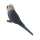 thumbnail image 3 of miniatura animales pájaros modelo estatuilla estatua scupltue juguete loro 2, 3 of 5