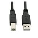 thumbnail image 3 of Cable Para Impresora 1.8 Metros OPEN BOX, 3 of 4