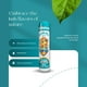 thumbnail image 4 of Bálsamo Labial Miami Sun Sin Sabor Con Ghee Y Aceite De Aguacate Individual, 4 of 6