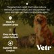 thumbnail image 3 of Gel para perros Vetr Skin Relief con hidrocortisona al 1% 120 ml, 3 of 6