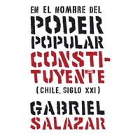 Ediciones Lom - En El Nombre Del Poder Popular Constituyente (Chile, Siglo Xxi)