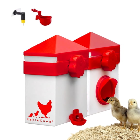 Comedero para pollos y bebedero de 2 L RentACoop, puerto mediano