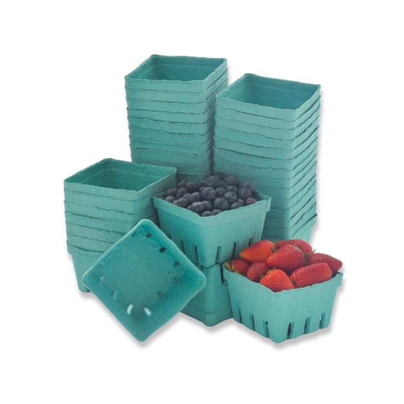 Fibra de pulpa moldeada verde Basket JA Kitchens, 473 ml (40 unidades)