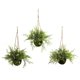 thumbnail image 1 of Cesta Colgante Artificial Casi Natural Mini Ruscus Juego De 3, 1 of 2