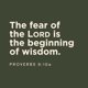 thumbnail image 2 of Estudio Bíblico LifeWay Press Proverbios (Encuadernación en espiral), 2 of 9
