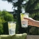 thumbnail image 3 of Set 4 Vasos Vidrio Doble Pared 400 ml Simplit, 3 of 8