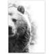 thumbnail image 1 of Póster de fotografía de animales salvajes con arte de pared de oso blanco y negro, impresión moderna minimalista, pintura en lienzo de oso grizzly, decoración de habitación, 50 x 70 cm, sin marco, 1 of 6