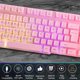 thumbnail image 3 of Teclado Gaming Orzly RX250K USB Rosa RGB Retroiluminado, 3 of 3