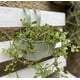 thumbnail image 3 of Colgante Doble Metalico Verde, 3 of 3
