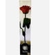 thumbnail image 1 of Rosa Preservada Natural 30cm En Acetato Rojo, 1 of 2