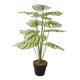 thumbnail image 5 of Plantas Artificiales Verdes Bonsai Planta En Maceta Para Estante Sala De Estar Dormitorio Estilo B, 5 of 5