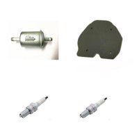 Genérico - Kit Mantencion Benelli Tnt 300 / Bn302R / Tnt 302S Original Negro