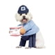 thumbnail image 1 of Disfraz de perro cartero USPS – Talla pequeña – California Costumes, 1 of 2