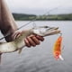 thumbnail image 4 of Calendario de Adviento de Pesca para Navidad - Cuenta regresiva de 24 días para pesca con señuelos para adultos, hombres y adolescentes - Regalo sorpresa de Navidad 2023, 4 of 6