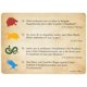 thumbnail image 3 of Juego de preguntas Paladone Hogwarts Trivia con 200 preguntas, 3 of 3