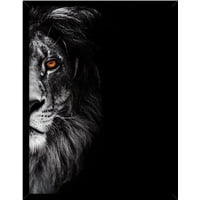 Genérico - Cuadro Decorativo Leon Ojo Rojo Medidas 30X40 Cm