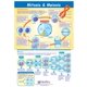 thumbnail image 2 of Juego de aprendizaje NewPath MitosisMeiosis, grados 6‑9, estándar, 2 of 3