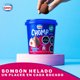 thumbnail image 5 of Helado Bombón Frambuesa a la Crema Pote, 225 ml, 5 of 7