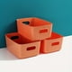 thumbnail image 1 of Maximize Your Space with THE SOHO COLLECTION of Plastic Organizer Bins - Perfect for Pantries, Freezers & More!, 1 of 5