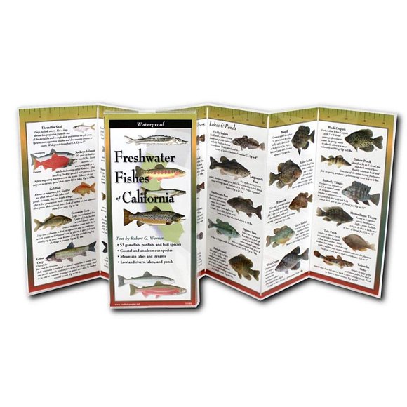 Libro Earth Sky + Water – Peces de California