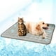 thumbnail image 1 of Esterilla refrescante para perros y gatos, manta de seda fría para camas, casetas, sofás, asientos de coche y suelos., 1 of 6