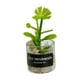 thumbnail image 2 of Mini Juguetes Para Casa De Mu?ecas Modelo De Paisaje Estático Modelado Mini Plantas Artificiales Estilo H, 2 of 5
