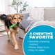 thumbnail image 5 of Juguete dental para masticar con espárragos Outward Hound para perros medianos, 5 of 6