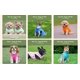 thumbnail image 5 of Chaleco polar Jacko & Co para perros pequeños y medianos, 5 of 8