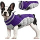 thumbnail image 1 of Abrigo para perro FUAMEY, impermeable, resistente al viento, color morado, XS, 1 of 2