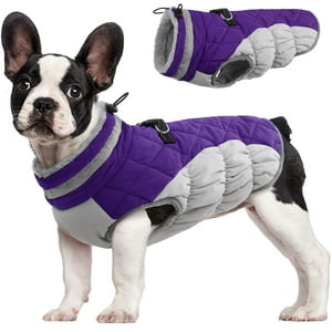 Abrigo Para Perro Fuamey, Impermeable, Resistente Al Viento, Color Morado, Xs